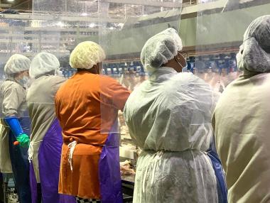 Tyson предупреди за загубата на “милиони килограми месо” в САЩ