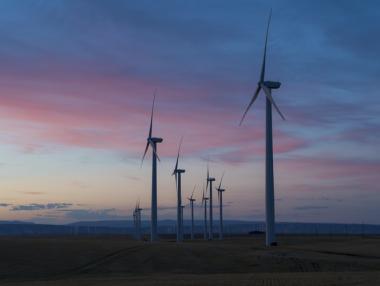 Консултативен съвет ще се занимава с проблемната за България „Зелена сделка“