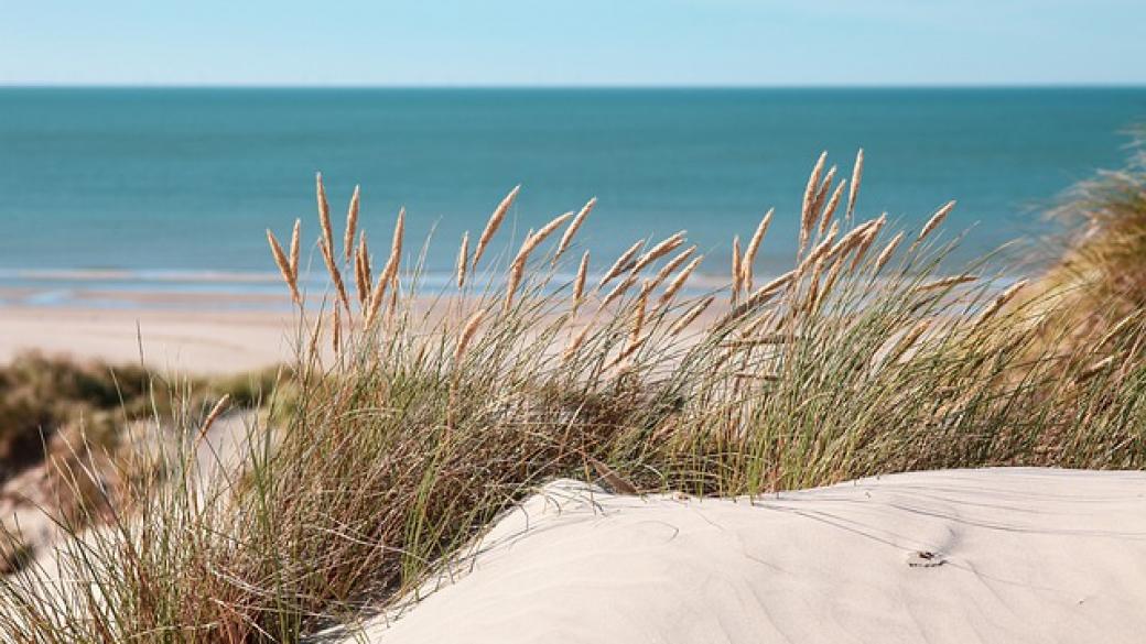 МРРБ ще обновява картите на дюните зад плажовете на всеки 10 години