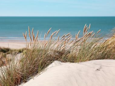 МРРБ ще обновява картите на дюните зад плажовете на всеки 10 години