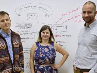 From the Paint to the Wall and Beyond