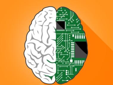 Human Memory and Its Secrets