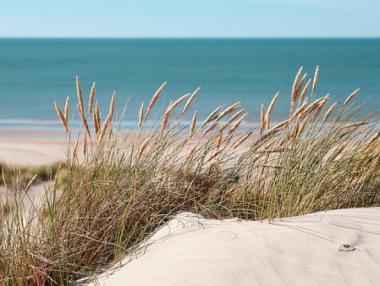 Плажовете „Лозенец“ и „Шкорпиловци - централен“ имат нови концесионери