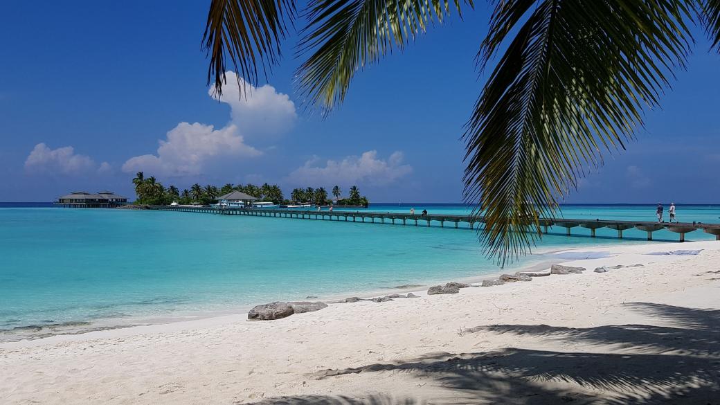 Малдивите отново ще посрещат туристи от 15 юли