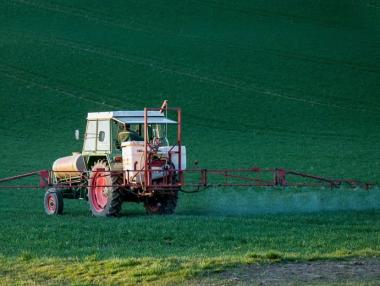 Занижен държавен контрол позволява масово незаконно ползване на ДДТ