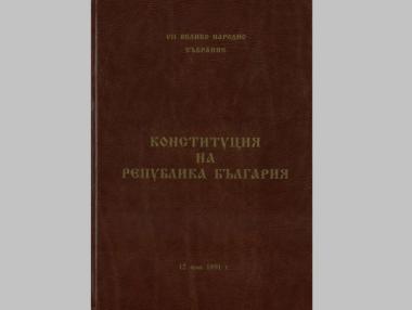 Новата конституция е голям риск за икономиката