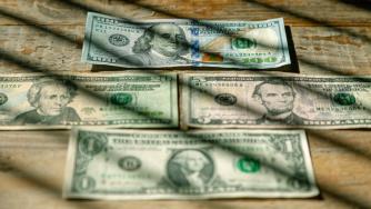 Единствената жена, изобразена на доларова банкнота