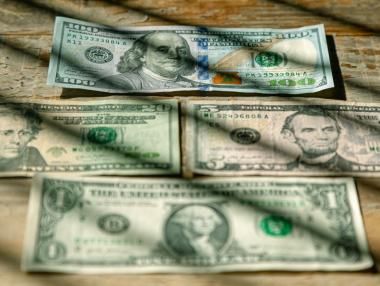 Единствената жена, изобразена на доларова банкнота