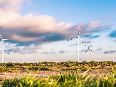 Сега ли е моментът ЕС да мисли за по-строга „зелена“ политика