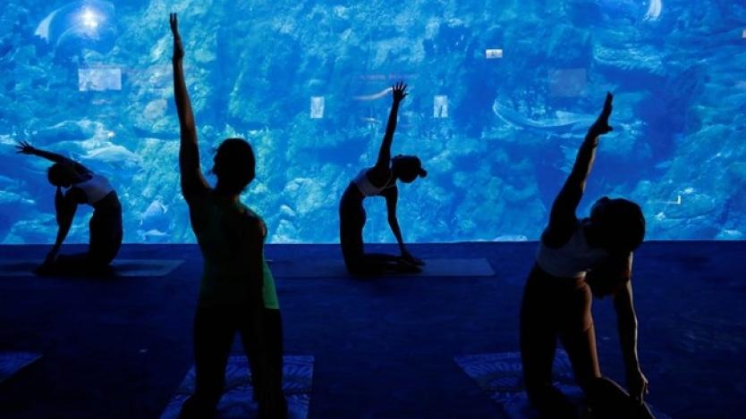 Аквариум в Хонконг предлага йога с акули
