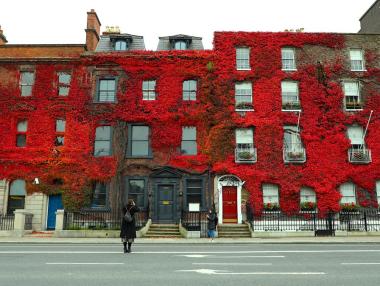 Ирландия наложи 6-седмична карантина в цялата страна
