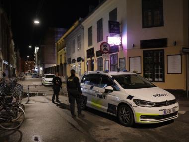 Ранените при терора във Виена растат