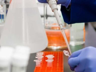 Втори пореден ден с антирекорд и над 4000 новозаразени в България