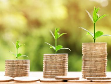 Бизнесът още не разбира устойчивата икономика