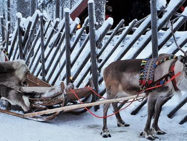 Гигантът TUI отмени всичките си екскурзии до града на Дядо Коледа