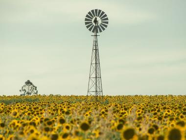 Г-20: Климатичните цели сега са още по-важни