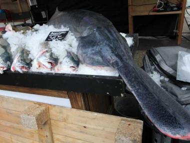 Любопитни факти за Никулден