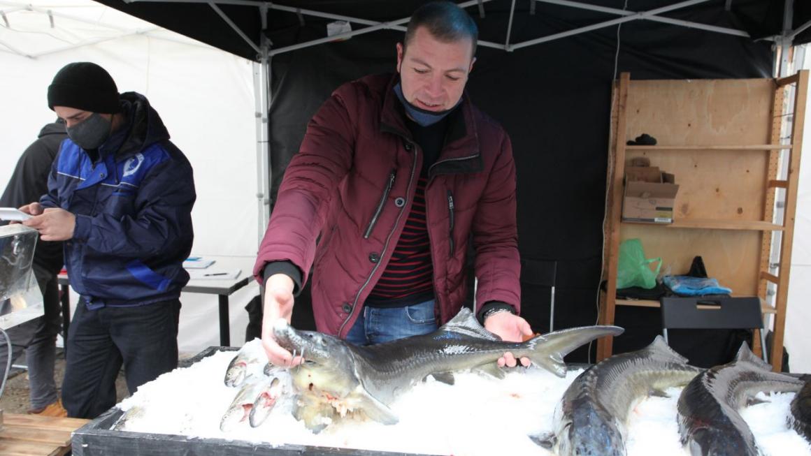 Галерия :: Снимка 4 :: София е морска столица за един уикенд (снимки)}