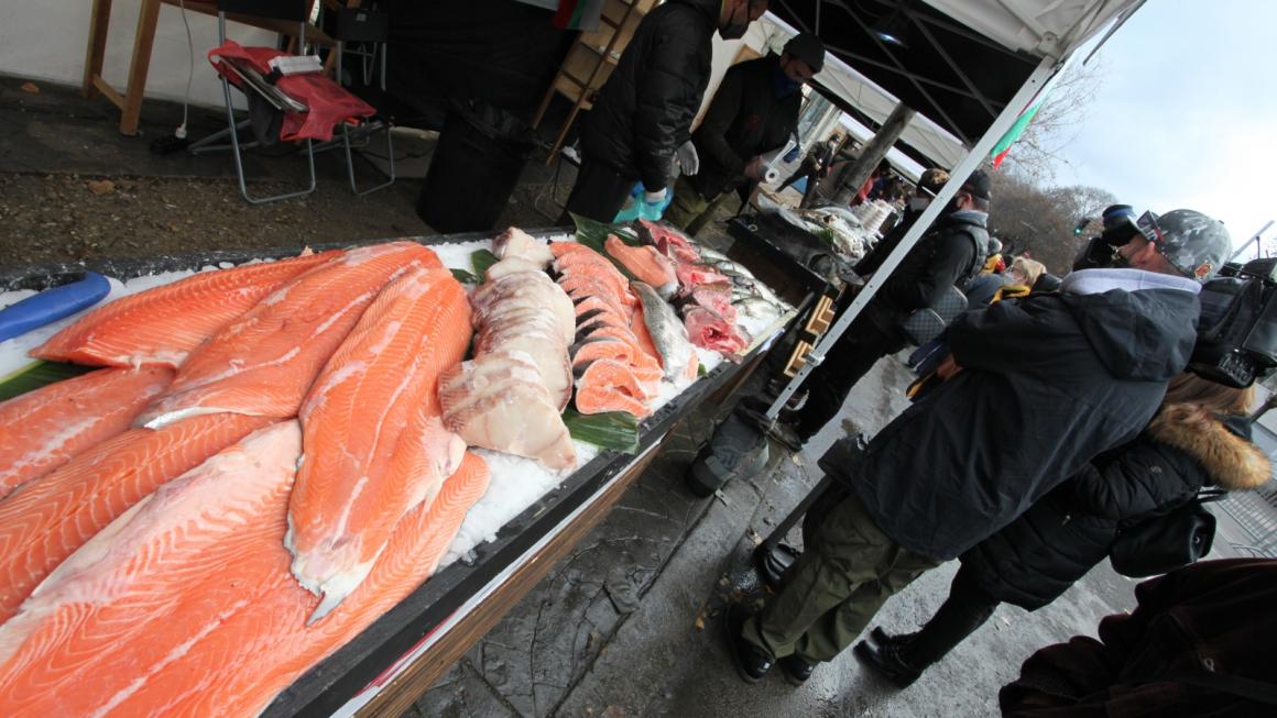 Галерия :: Снимка 1 :: София е морска столица за един уикенд (снимки)}