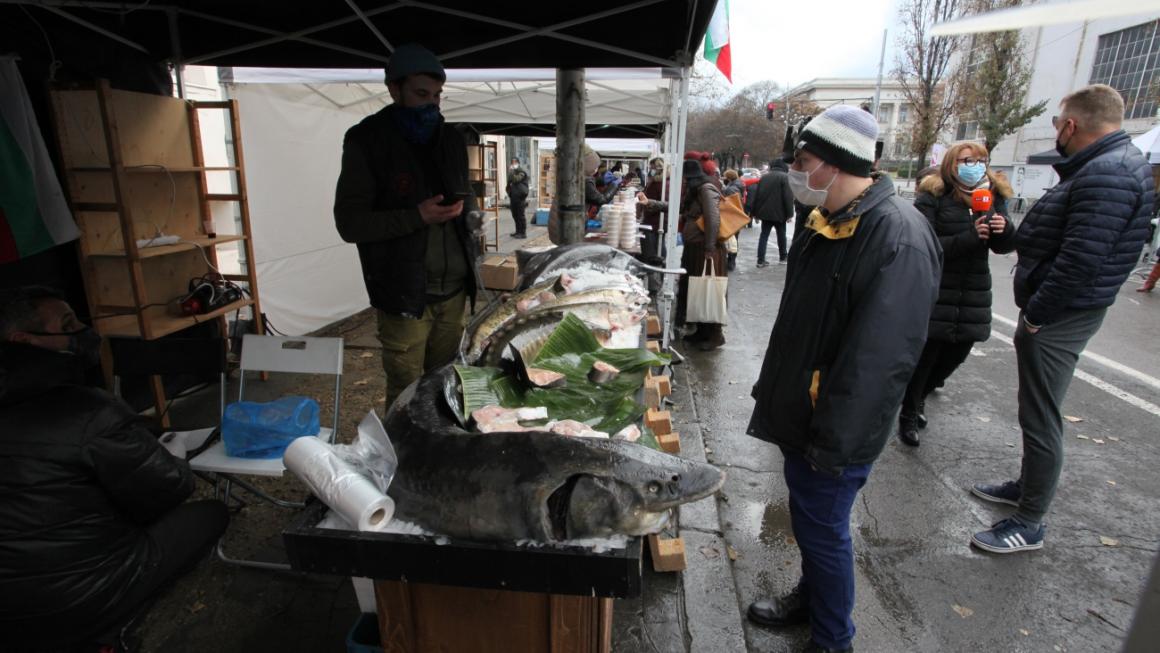 Галерия :: Снимка 6 :: София е морска столица за един уикенд (снимки)}