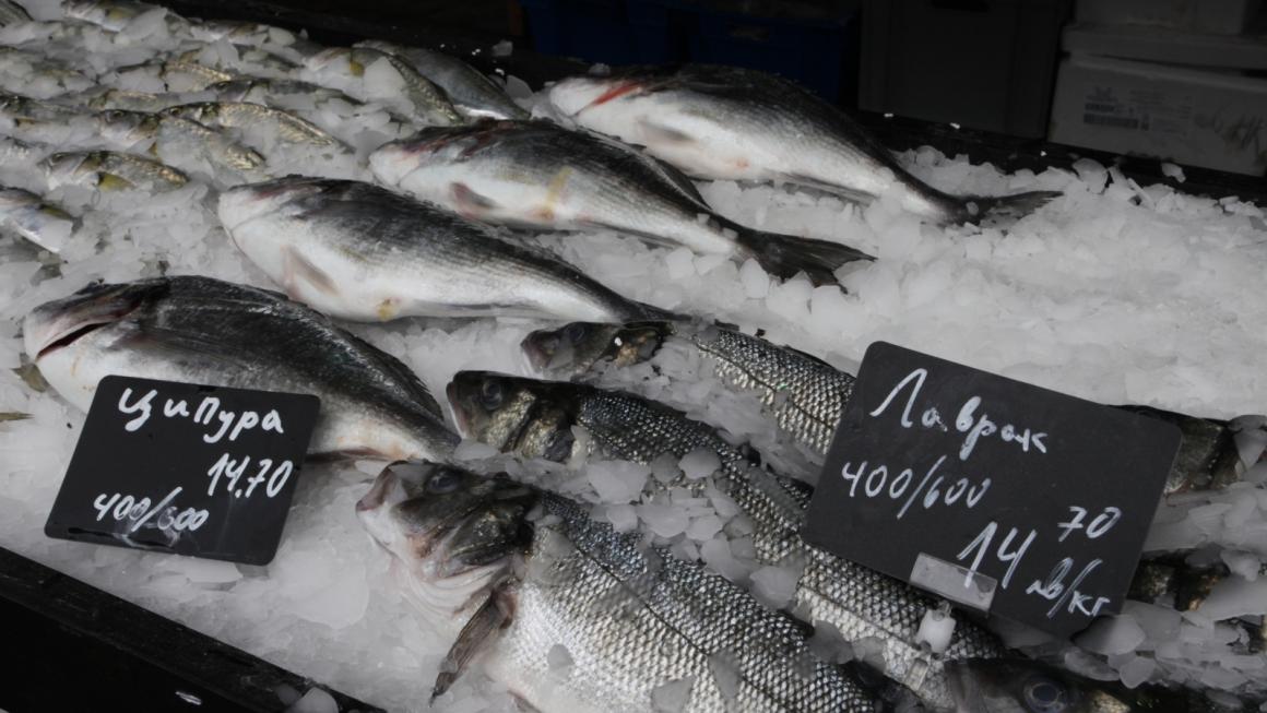 Галерия :: Снимка 0 :: София е морска столица за един уикенд (снимки)}