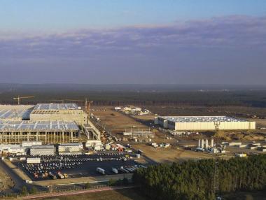 Спящи змии – нова пречка пред фабриката на Tesla в Германия