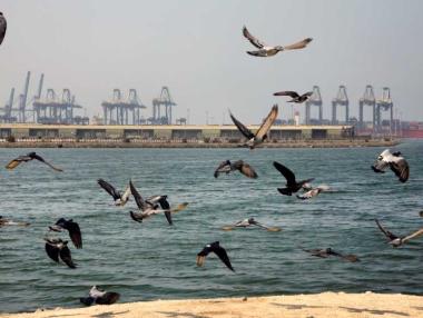 Експлозия на танкер в Саудитска Арабия оскъпи петрола