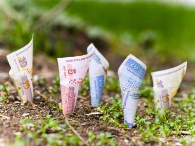 Продажбите на идеални части движат пазара на земя