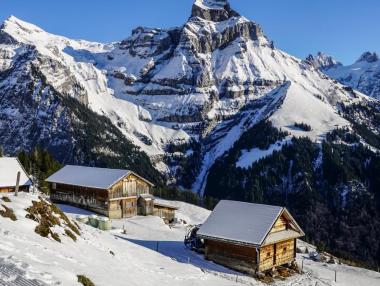 Европейските държави решиха да не отварят ски курортите