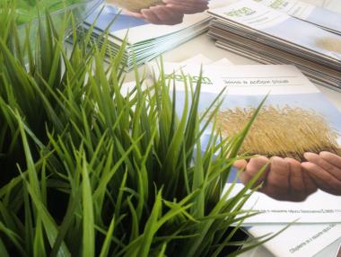 Пазарът на земя традиционно се съживява през януари