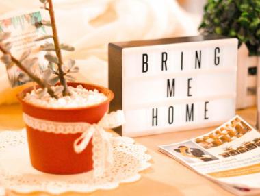 Как влияе Airbnb върху цените и наемите на имотите?