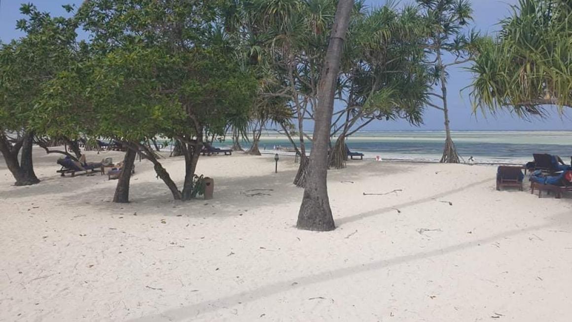 Галерия :: Снимка 4 :: Занзибар – новото място за почивка на българите}