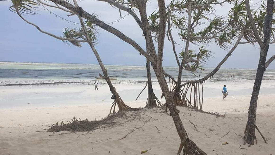 Галерия :: Снимка 6 :: Занзибар – новото място за почивка на българите}