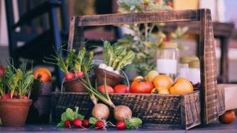 ДФЗ преведе 83 млн. лв. за отглеждане на плодове и зеленчуци