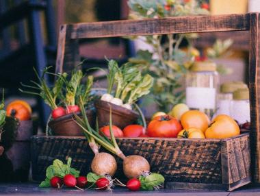 ДФЗ преведе 83 млн. лв. за отглеждане на плодове и зеленчуци