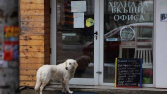 Ресторантите тепърва ще кандидатстват за компенсация за февруари