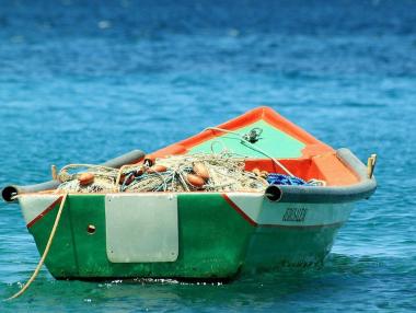 Риболовът в България е намалял с близо 40%