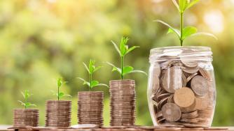 Млади фермери могат да наемат земя на тайни онлайн търгове