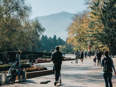 Държавната администрация остава все така неефективна