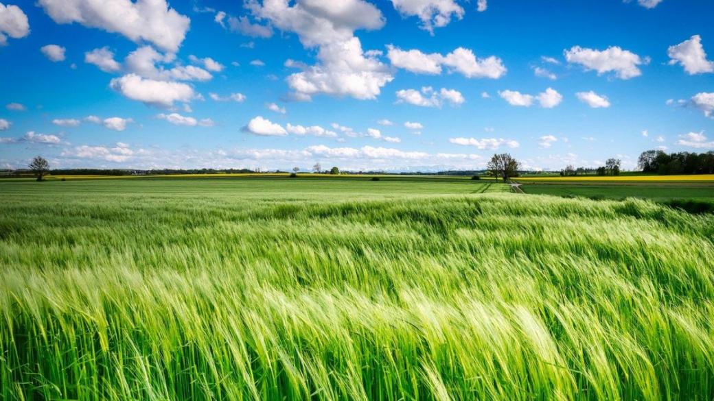 ЕС одобри реформата на европейската земеделска програма