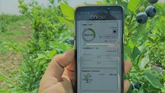 Българска компания за „умно“ земеделие привлече инвестиция от €1 млн.