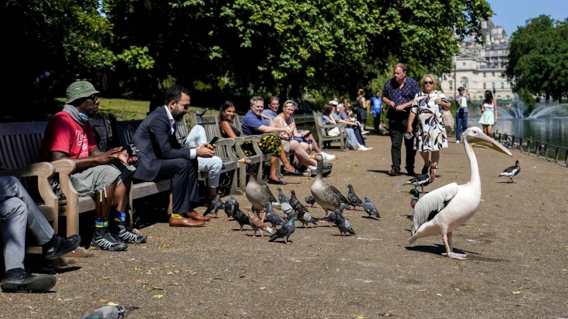 Галерия :: Снимка 6 :: Англия изпрати пандемията с музика и танци (галерия)}