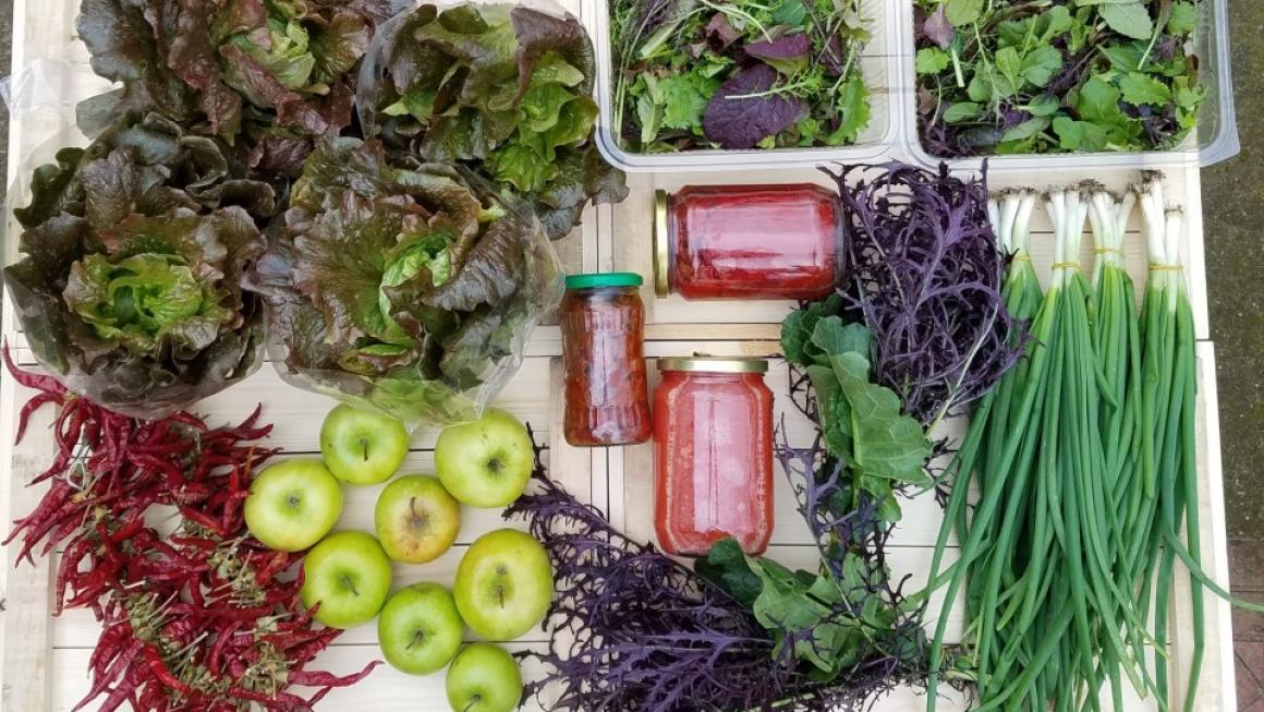 Галерия :: Снимка 4 :: От подиума в Ню Йорк до собствена биоферма в Аканджиево – как се сбъдват мечтите}