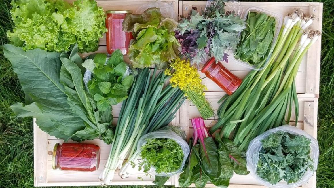 Галерия :: Снимка 5 :: От подиума в Ню Йорк до собствена биоферма в Аканджиево – как се сбъдват мечтите}