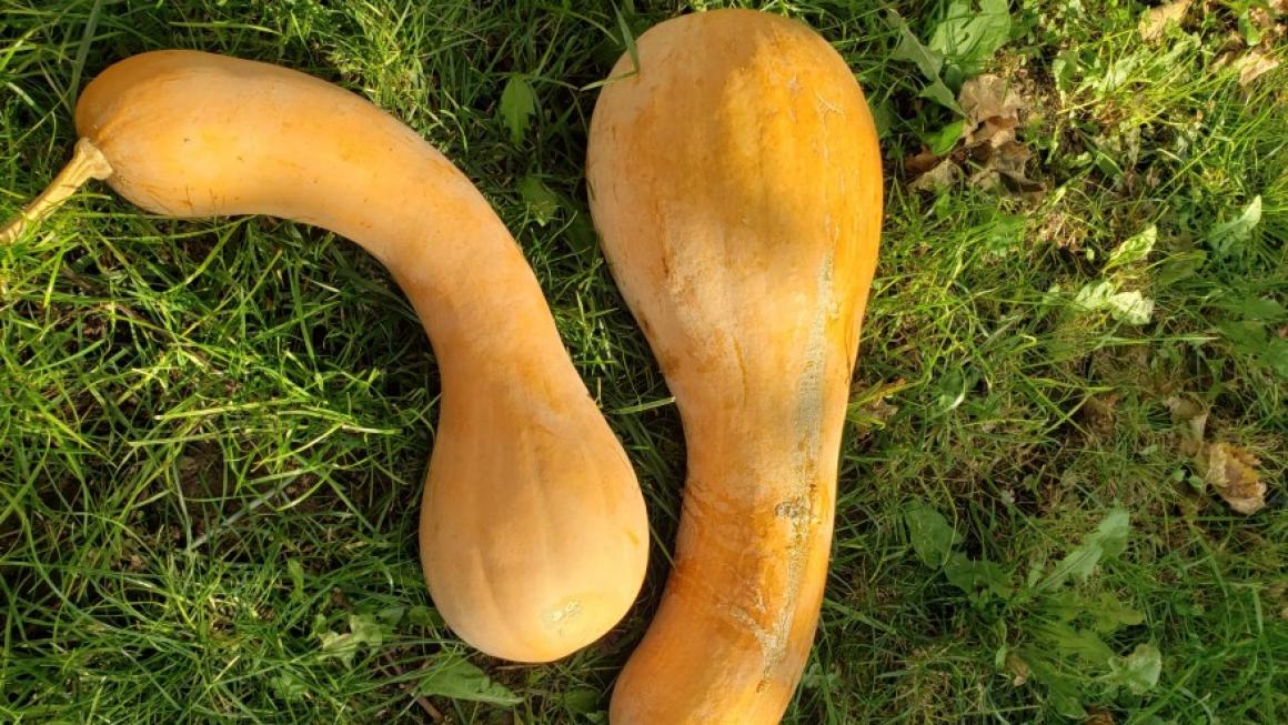 Галерия :: Снимка 6 :: От подиума в Ню Йорк до собствена биоферма в Аканджиево – как се сбъдват мечтите}