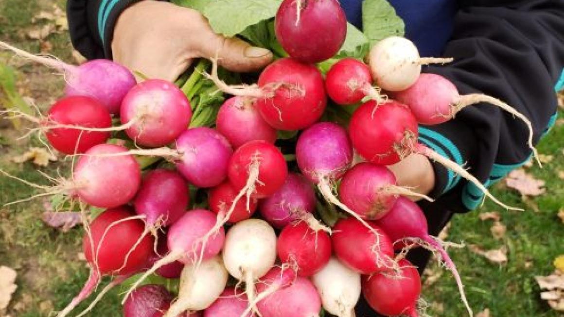 Галерия :: Снимка 10 :: От подиума в Ню Йорк до собствена биоферма в Аканджиево – как се сбъдват мечтите}