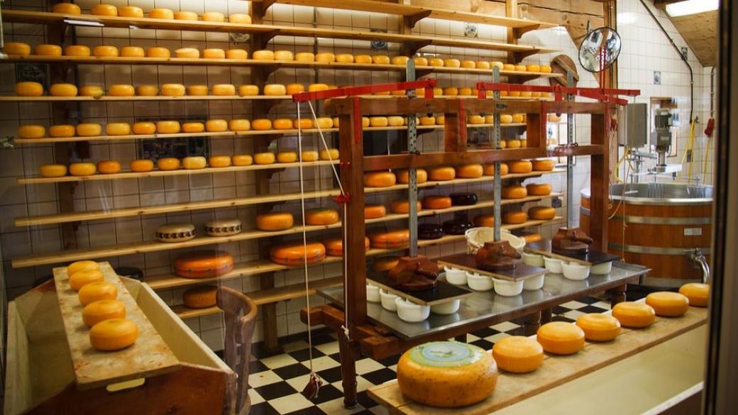 Българското сирене вече има конкретни характеристики