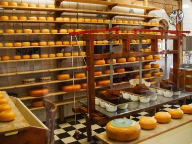 Българското сирене вече има конкретни характеристики