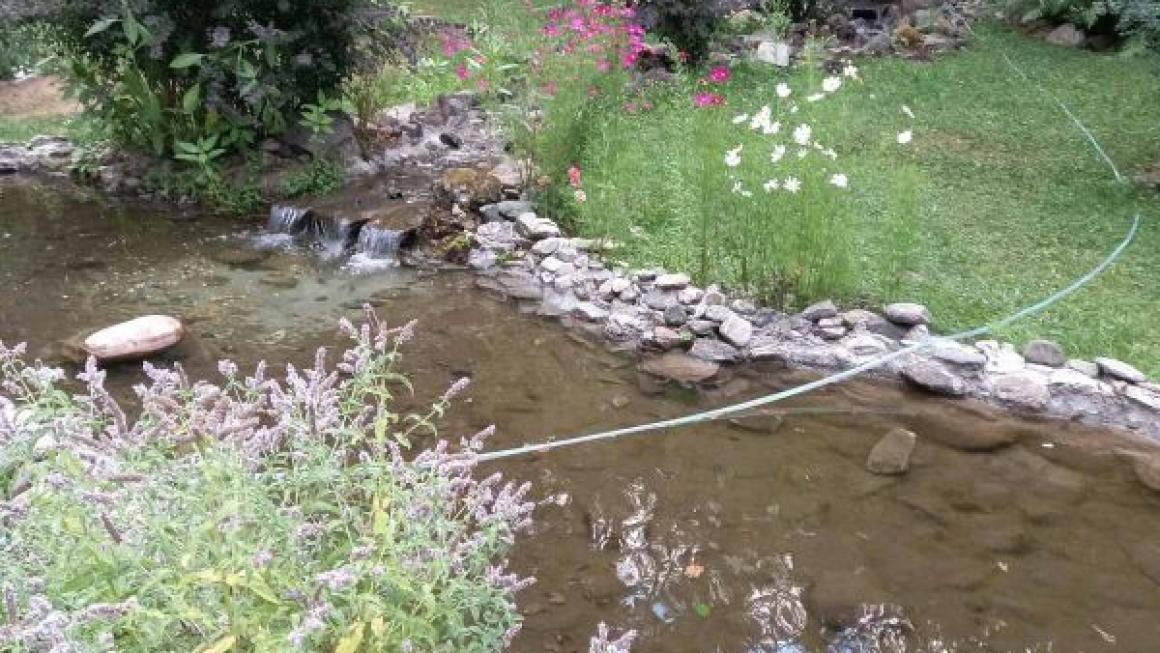 Галерия :: Снимка 3 :: Родопско гостоприемство за „Рекордите на Гинес“}