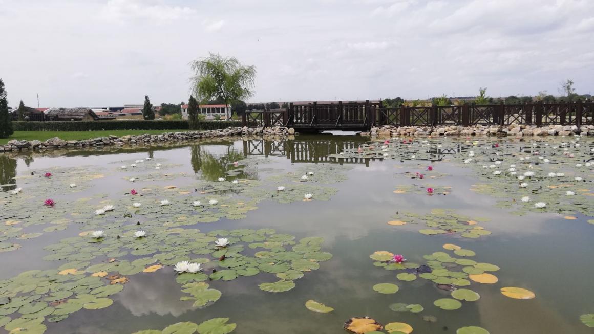 Галерия :: Снимка 4 :: Потайностите на Историческия парк край Варна}